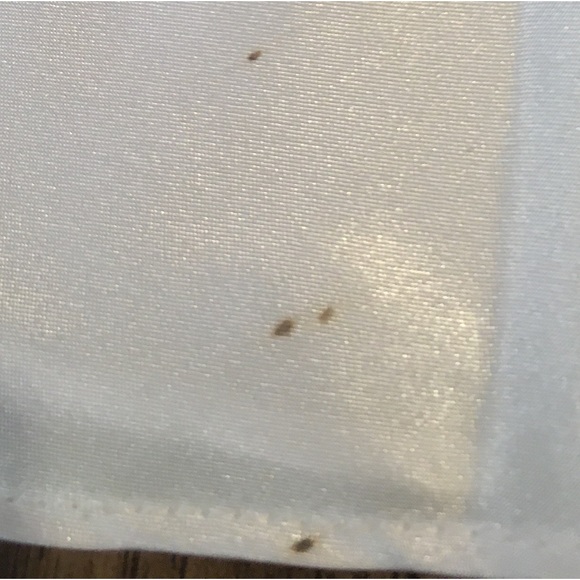 Pauline's Trousea White Polyester
Night Gown Size Medium/ Large Circa 1980s - Picture 3 of 8